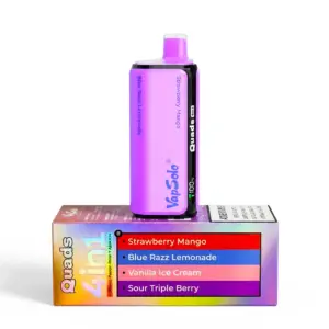 Strawberry Mango + Blue Razz Lemonade + Vanilla Ice Cream + Sour Triple Berry