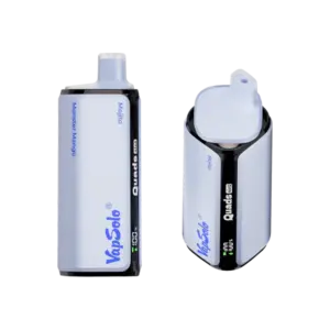 Packs de Vapes Premium